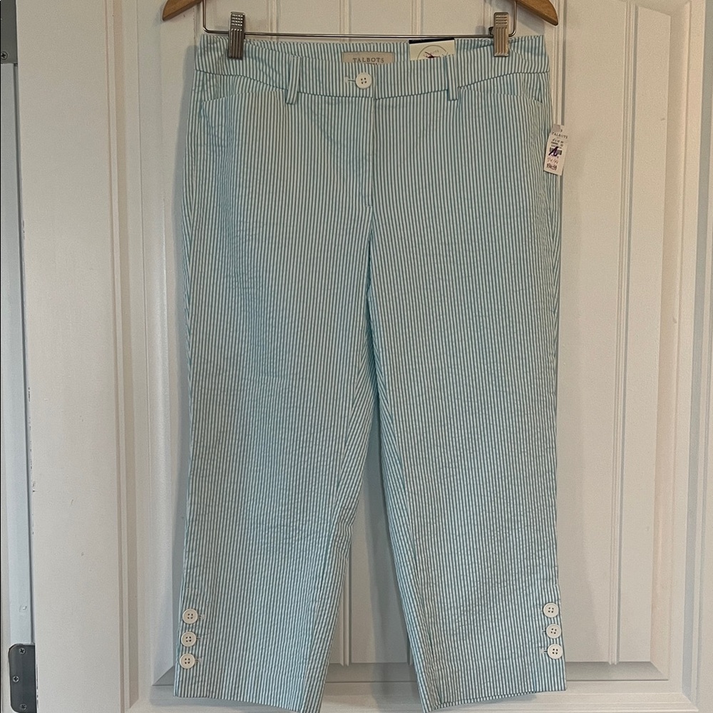 Talbots Skimmer Pants Size 4P